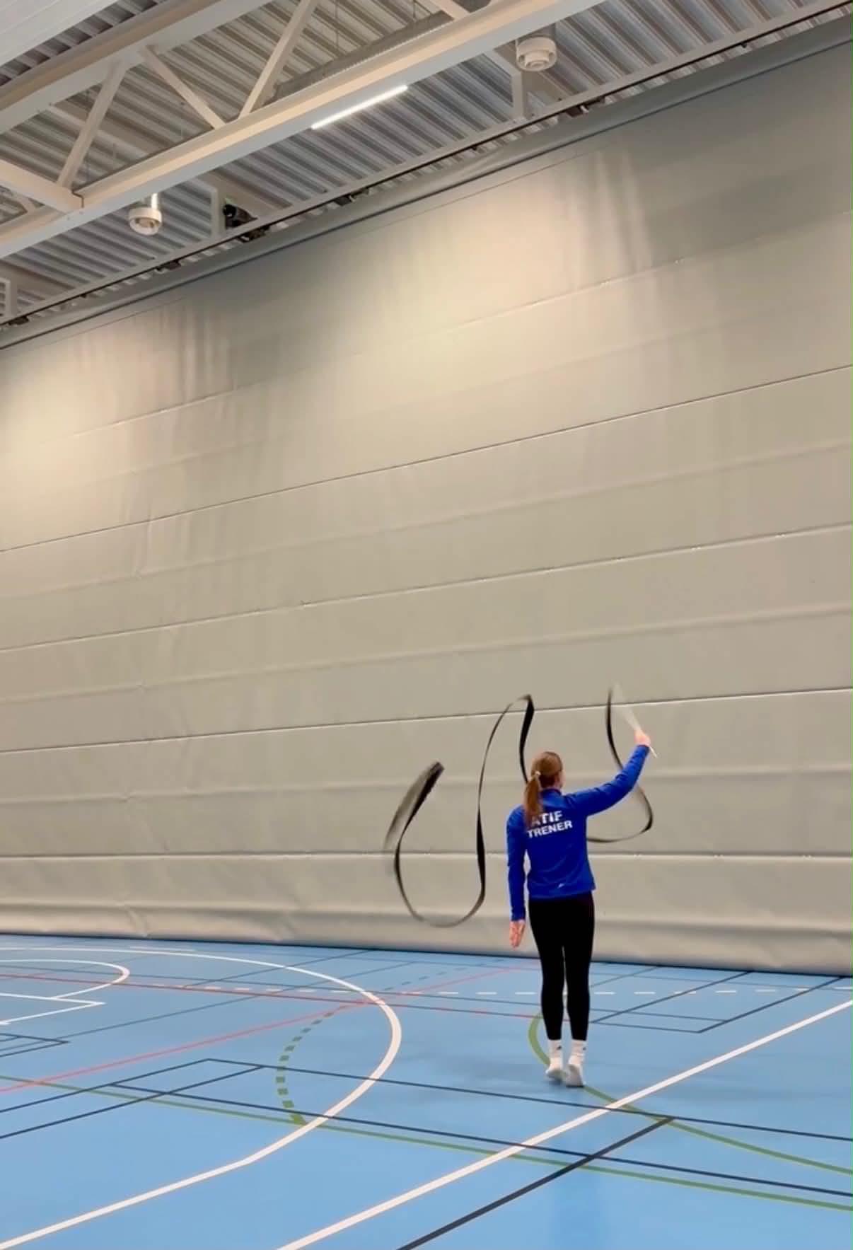 Rytmisk Gymnastikk